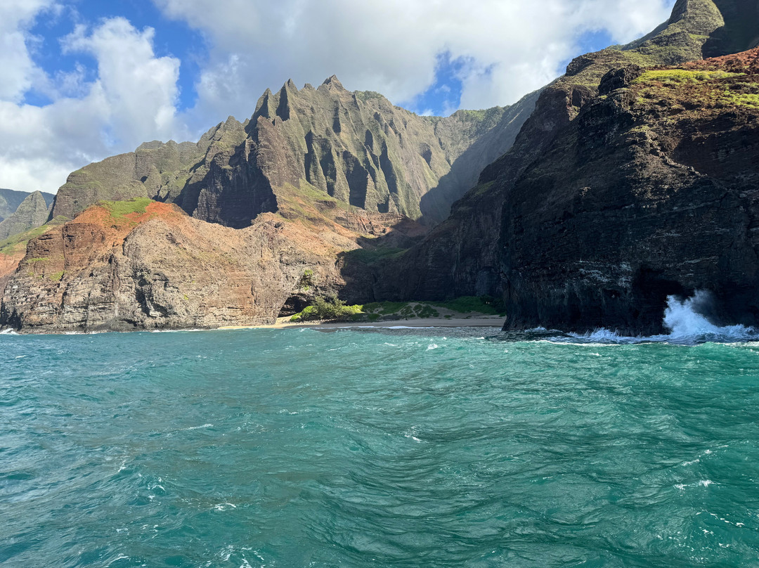 Blue Dolphin Charters-埃里埃利必去景点