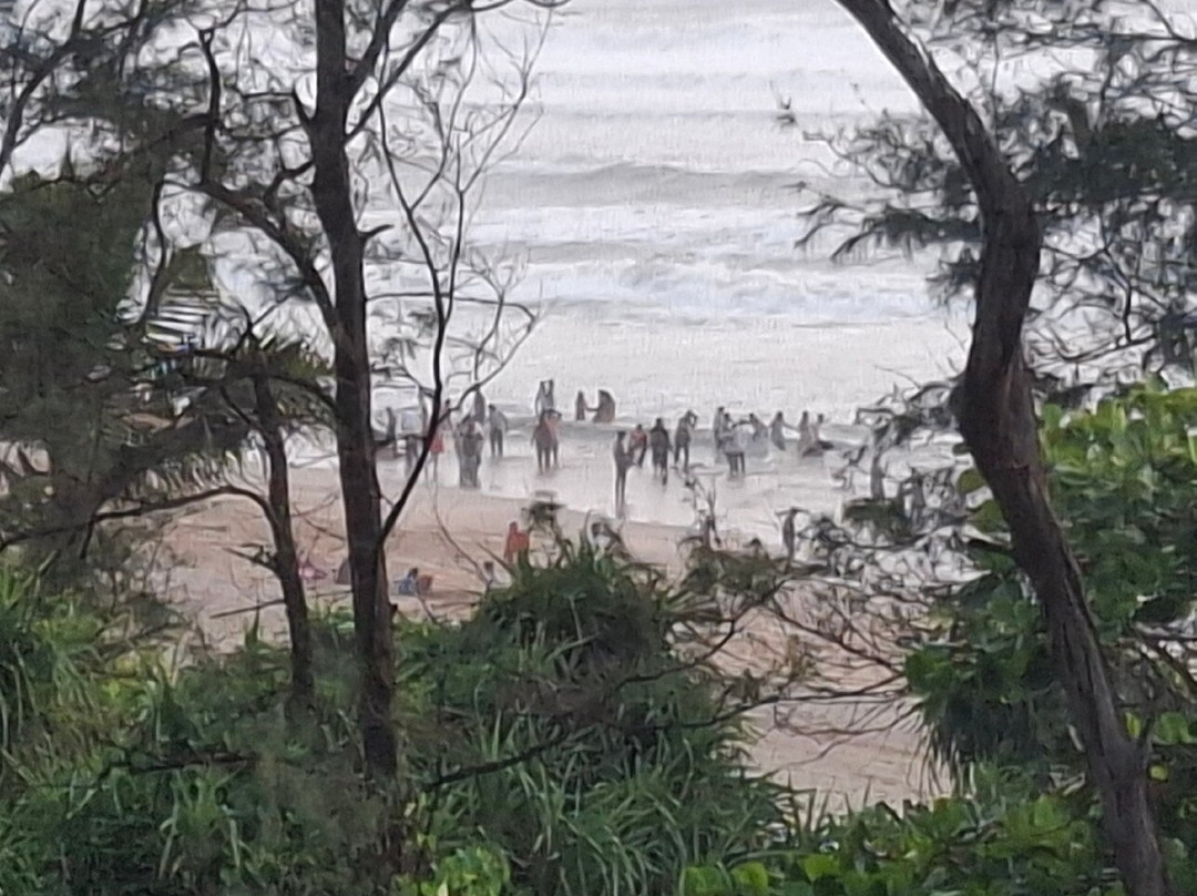 MTDC Beach Resort Ganpatipule主图