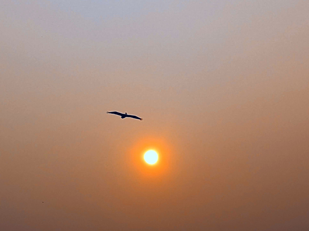 Blue Heron Landing-Horicon必去景点