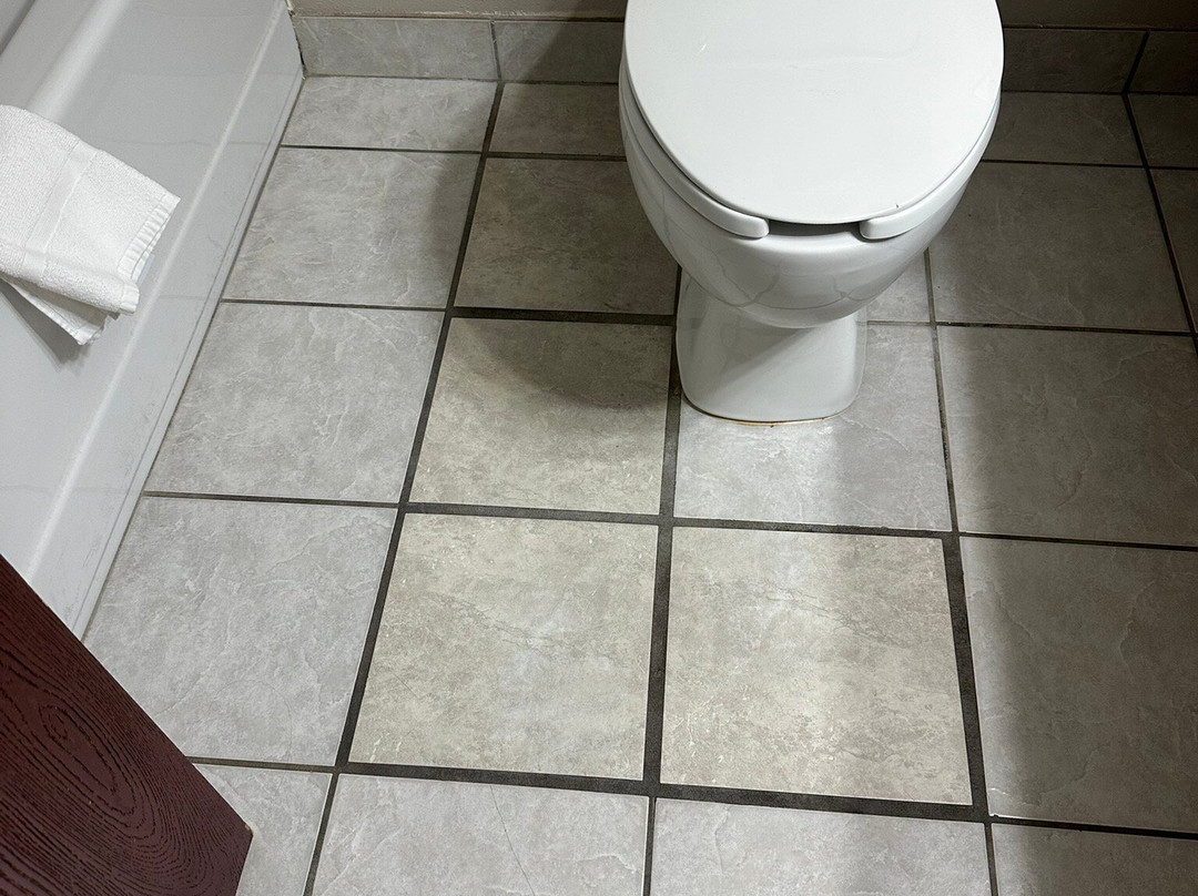 Baymont by Wyndham New Buffalo主图