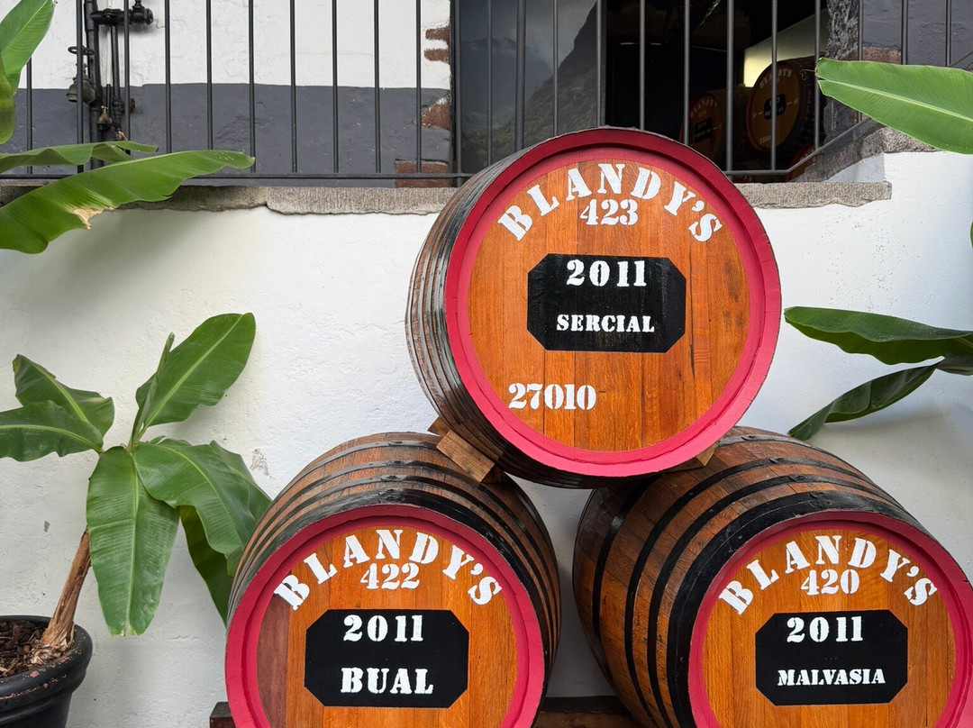 Blandy's Wine Lodge-沙尔必去景点