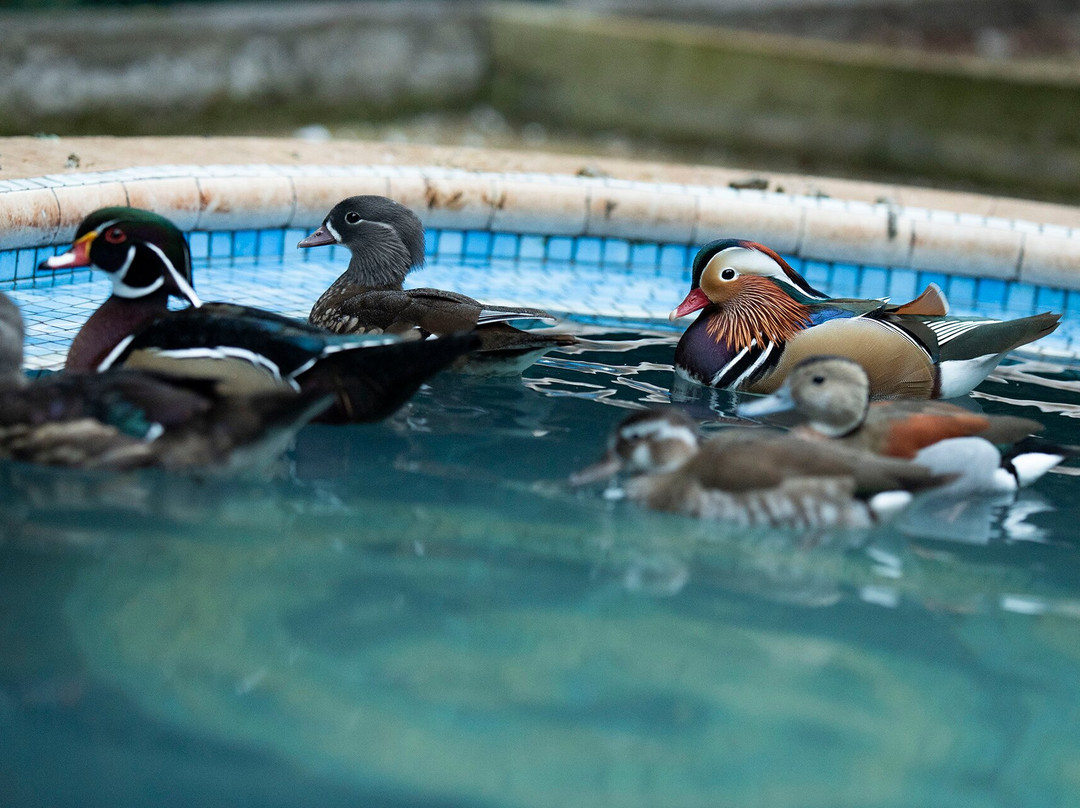 Quinta do Lagar主图