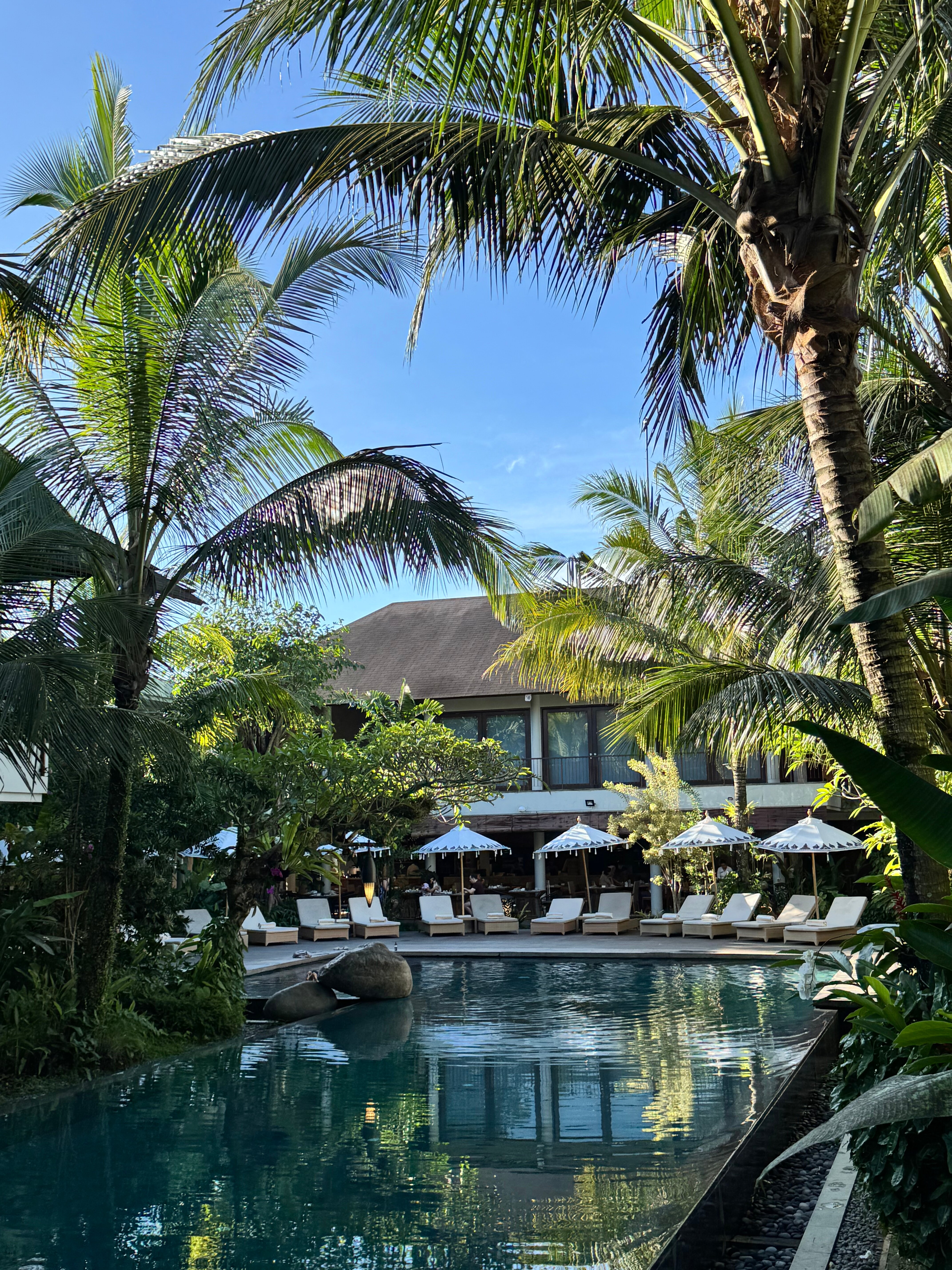 The Hava Ubud A Pramana Experience-泳池