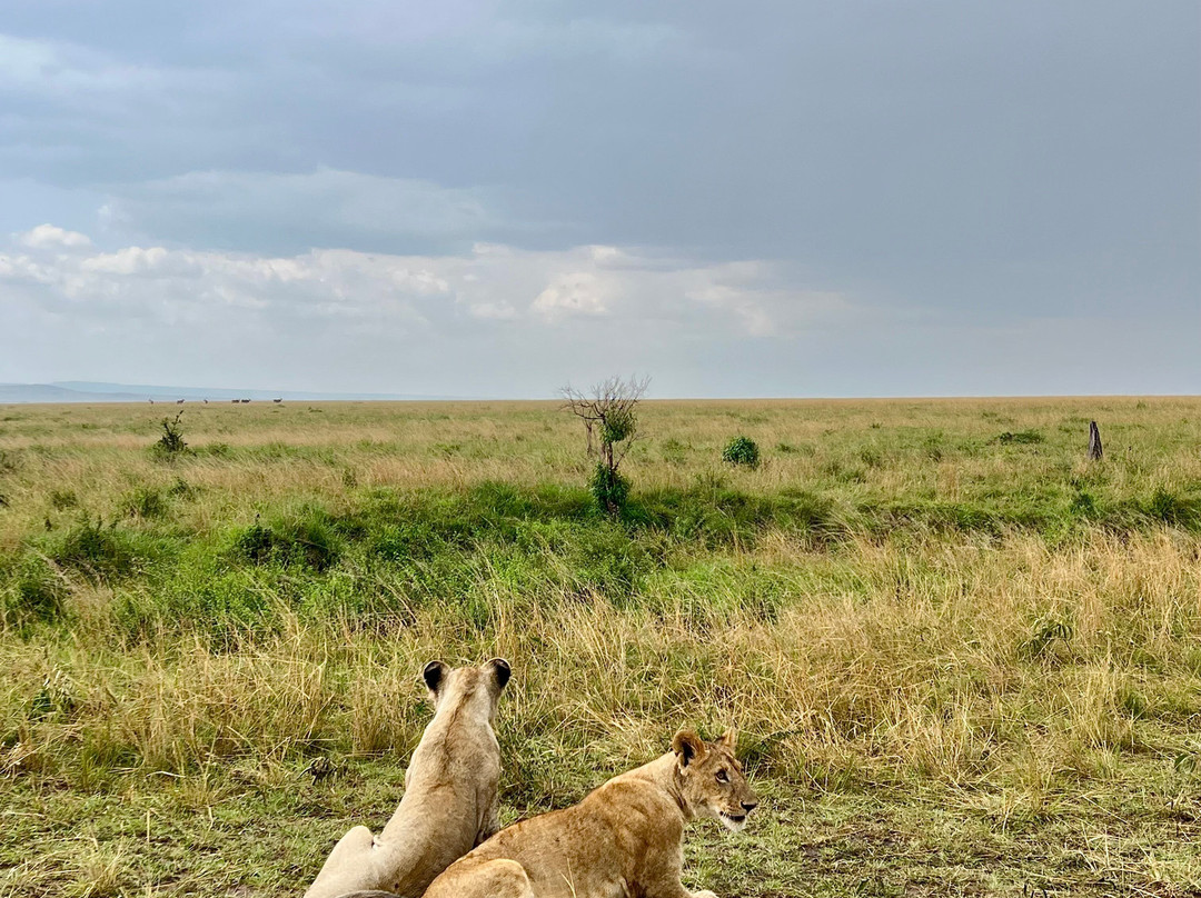 Spring Breeze Tours-Karen必去景点