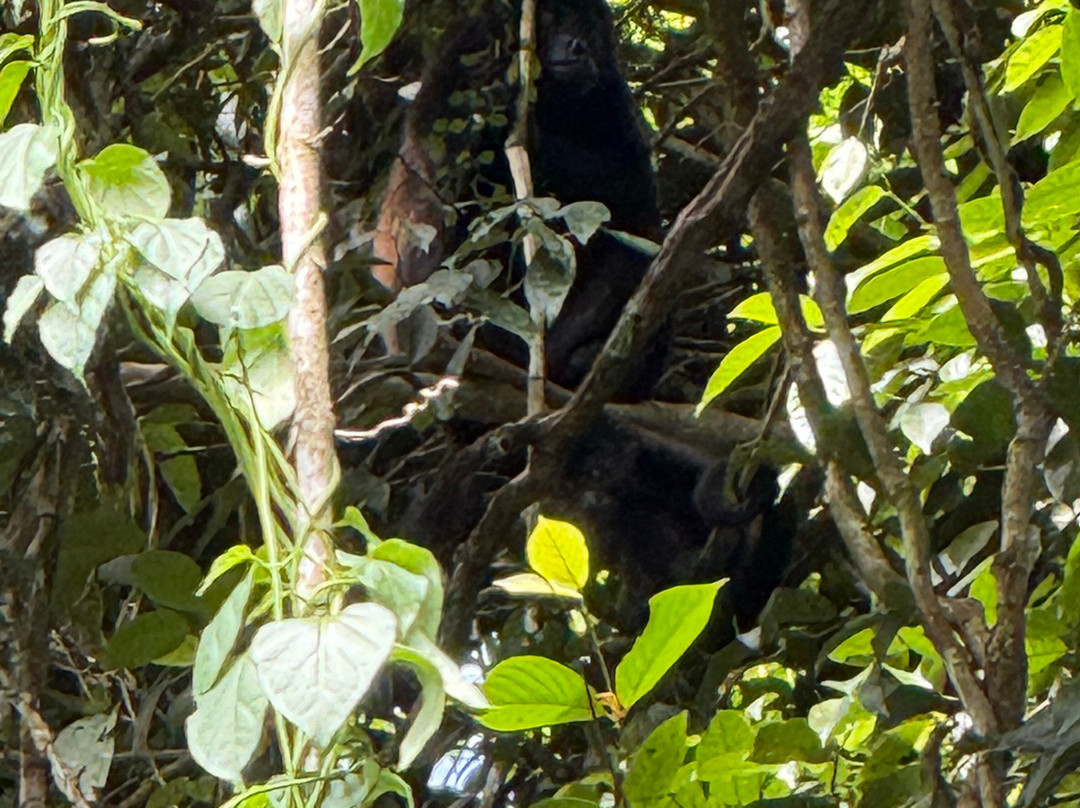 Maleku Tours-利比里亚必去景点