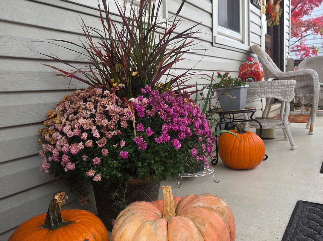 The Bella Victoria Bed & Breakfast主图