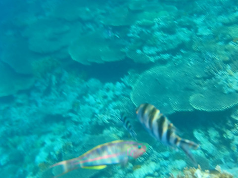 Infinity Tours Egypt - Hurghada-赫尔格达必去景点