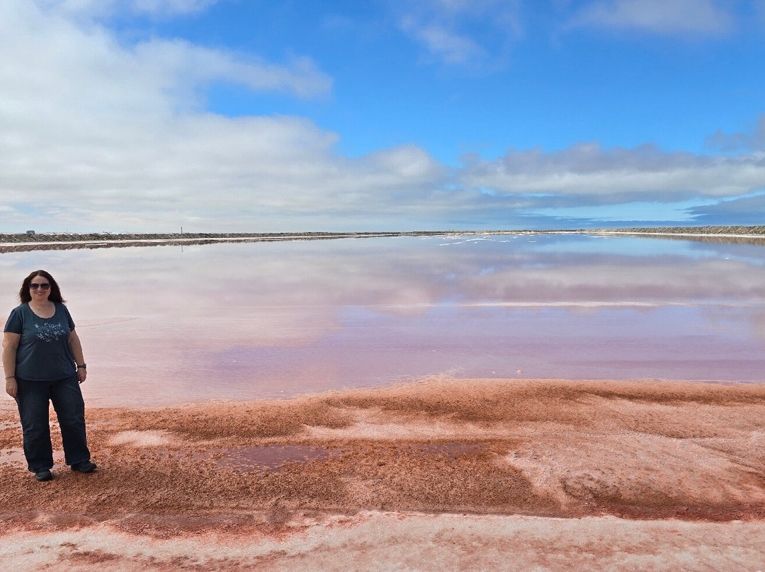 Carlo's Shuttle and Tours cc-华维斯湾必去景点