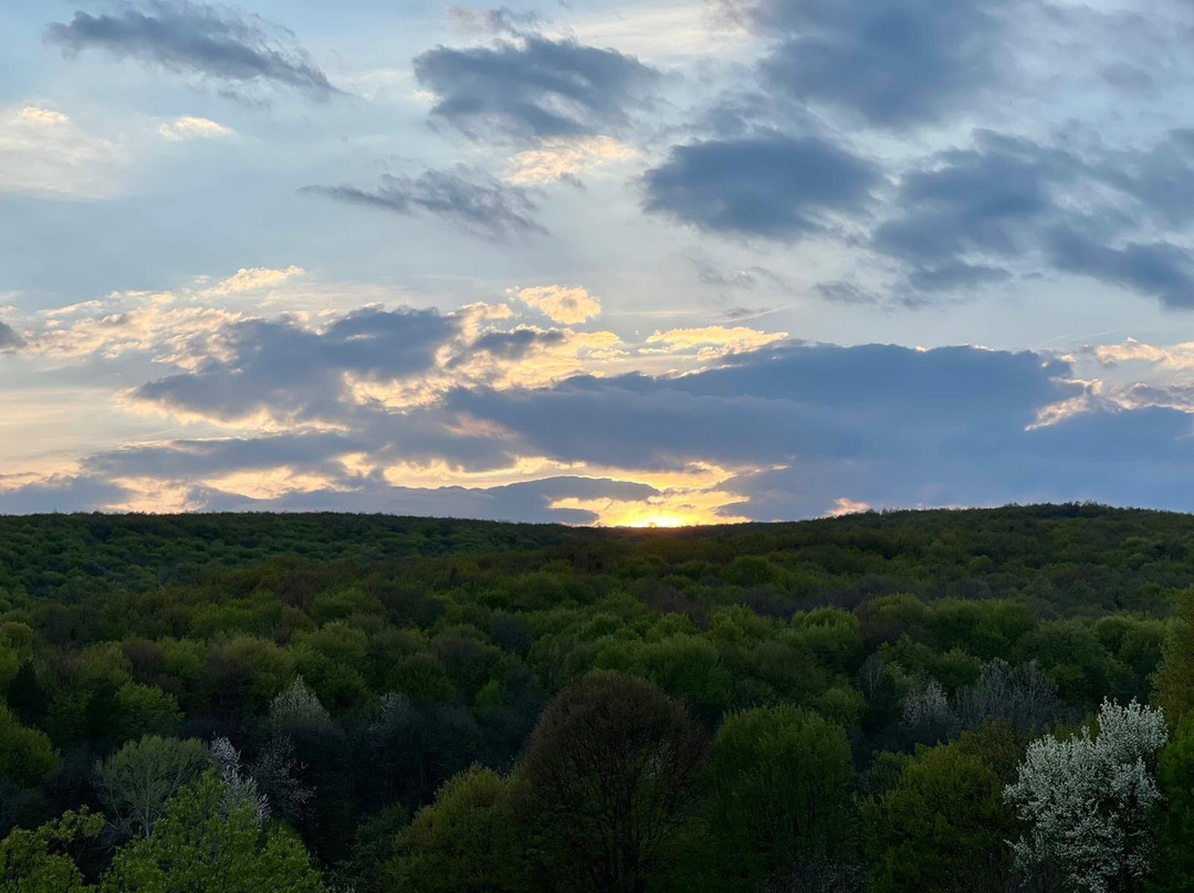 Cislau酒店住宿-Hotel McPietroasa