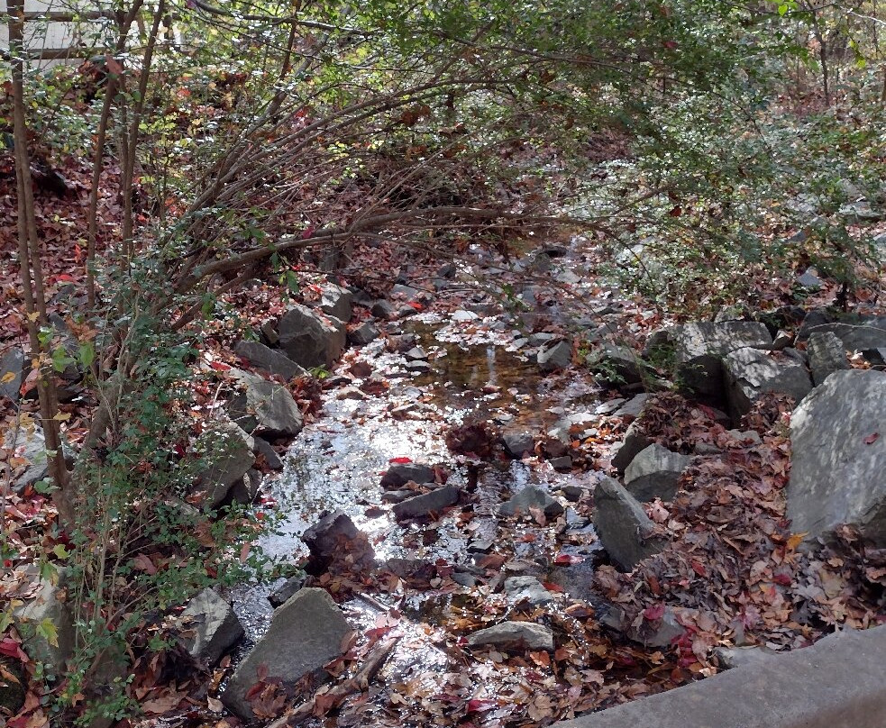 Four Mile Creek Greenway-马修斯必去景点