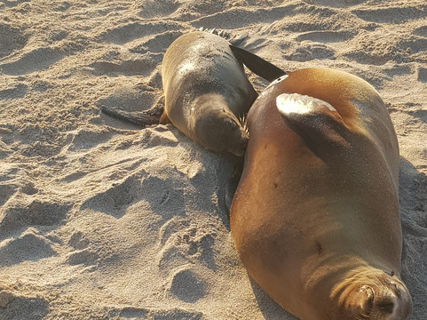 Galapagos Surf Adventure