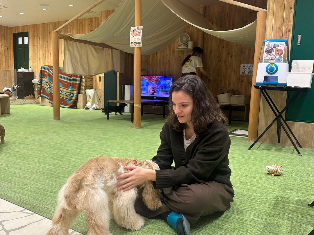 Dog Cafe Rio Shimokitazawa-世田谷区必去景点