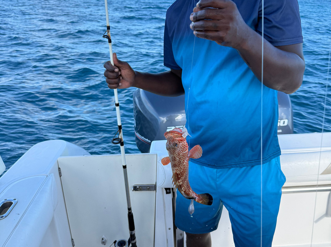 Sugar Island Tours-Jolly Harbour必去景点