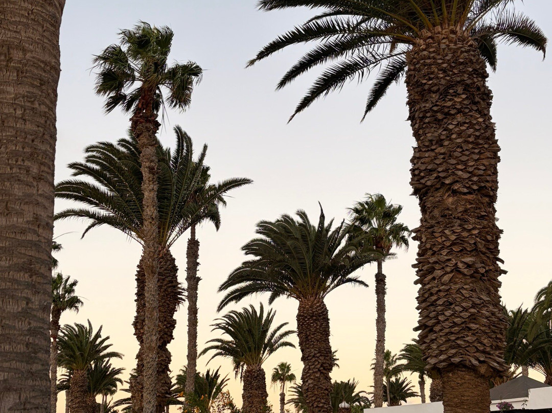 Ona Las Brisas主图