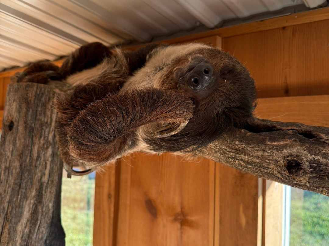 Timbavati Wildlife Park-威斯康星峡谷必去景点