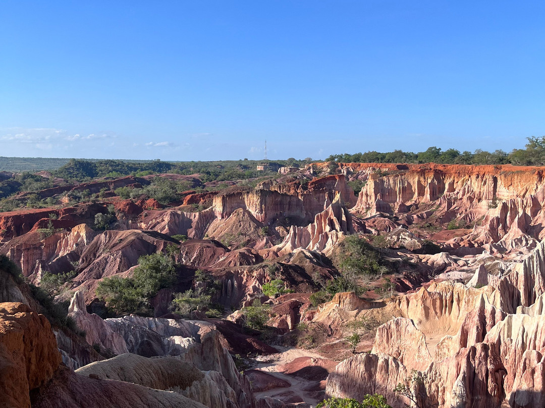 Garibaldi Safari Kenya-瓦塔木必去景点