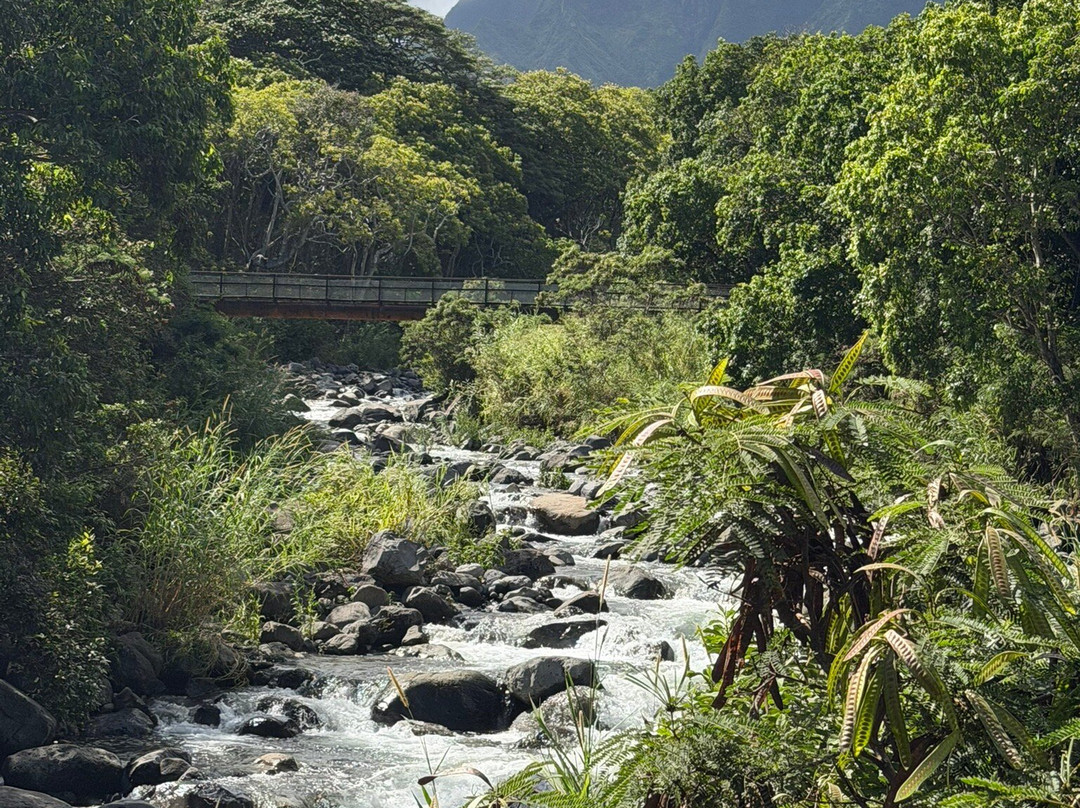 Kepaniwai Park & Heritage Gardens-怀露库必去景点