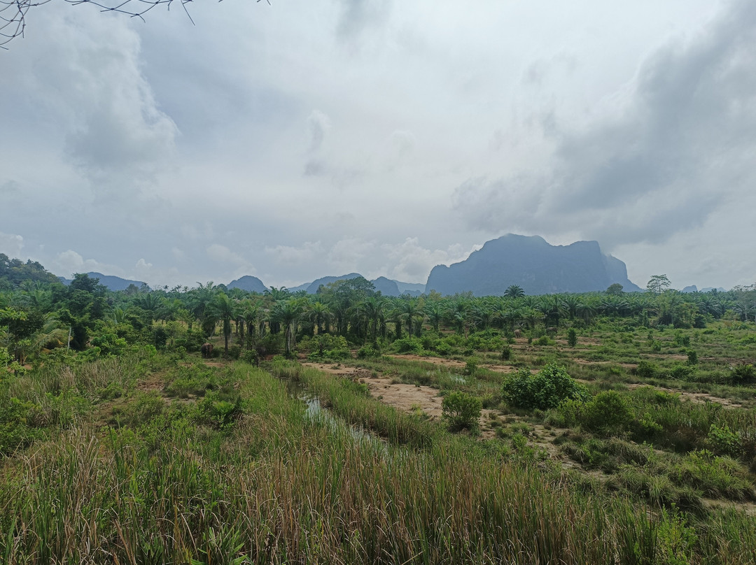 Following Giants - Krabi-Khlong Hin必去景点