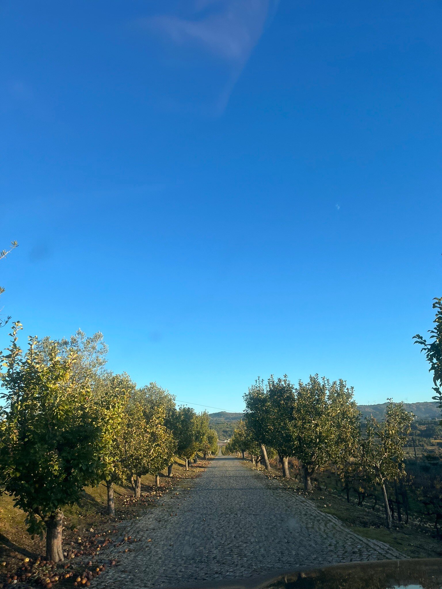 Hotel Rural Casa dos Viscondes da Varzea-官方