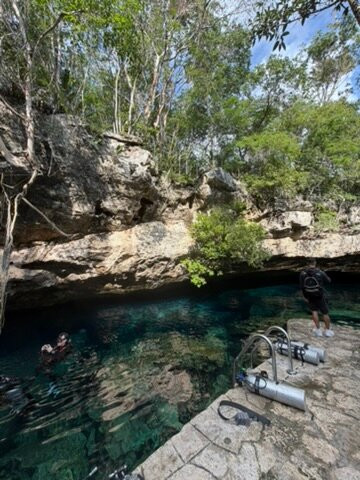 Good Vibes Diving-普拉亚德尔卡曼必去景点