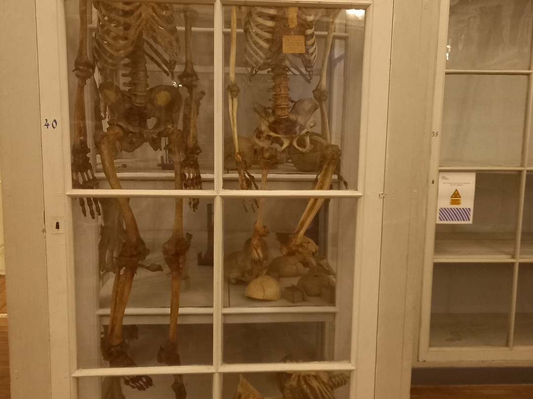 Musée de l'Ancienne École de Médecine Navale-罗什福尔必去景点