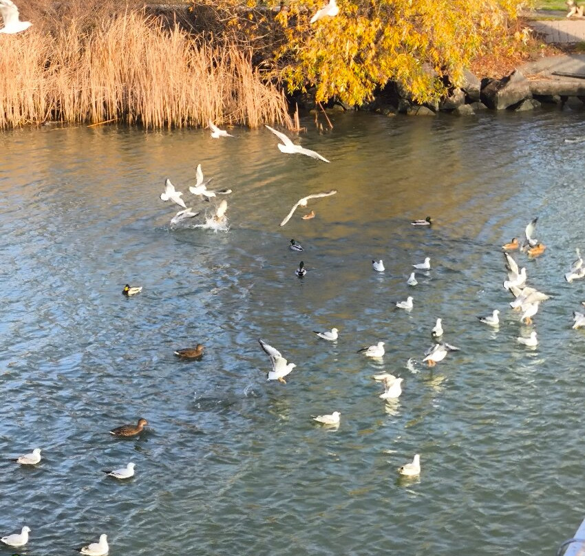 Observation Deck-Azov必去景点