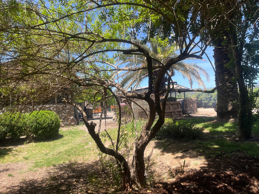 Bodega Santa Julia-Maipu必去景点