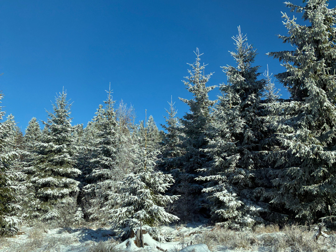 Hotel Ahornhof主图