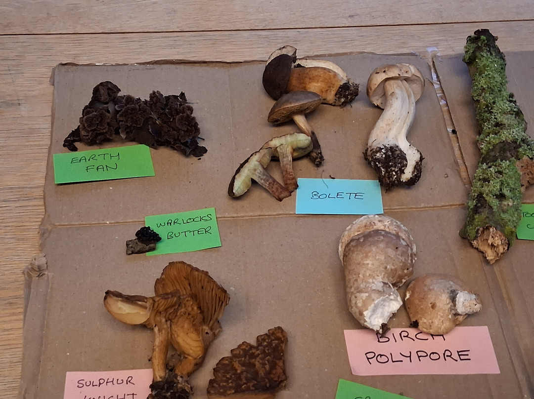 Hickling Broad-Hickling必去景点