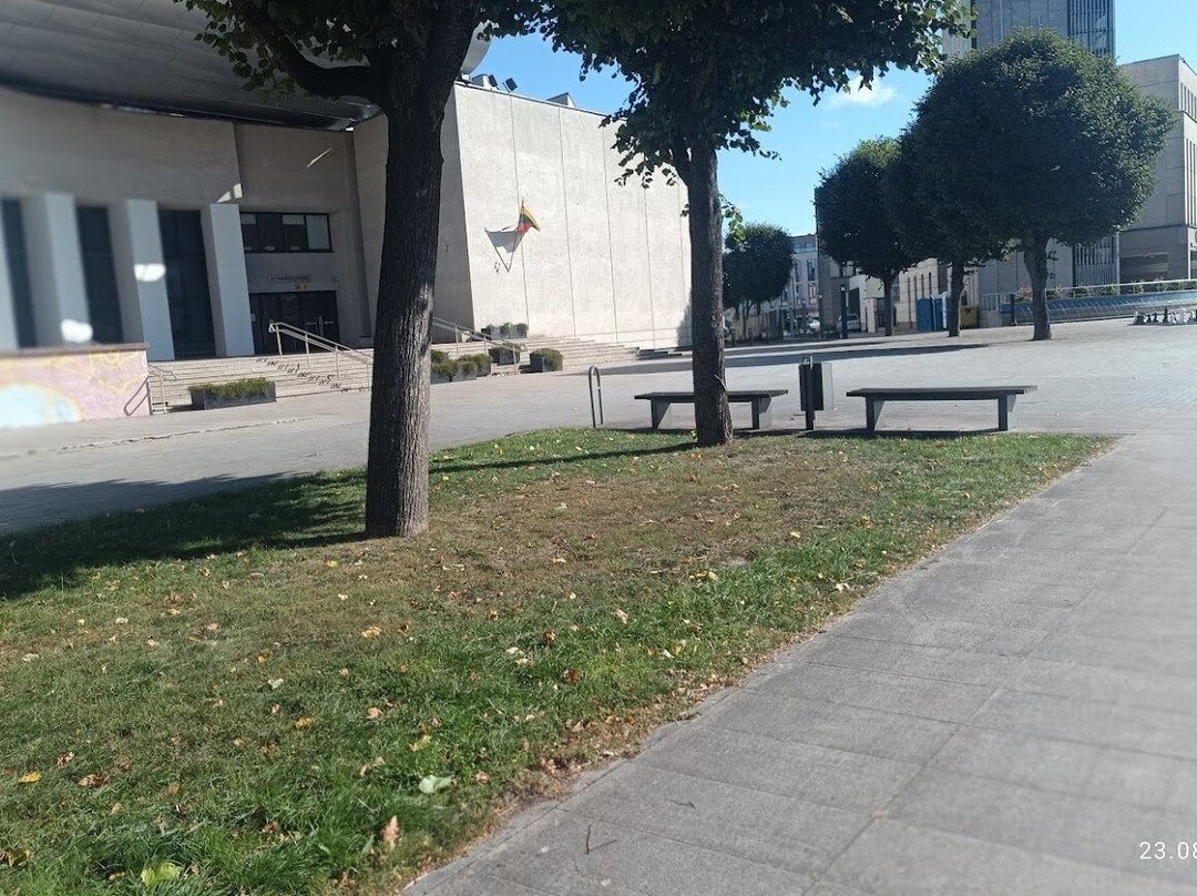 Alytus Town Hall Square-阿雷图斯必去景点