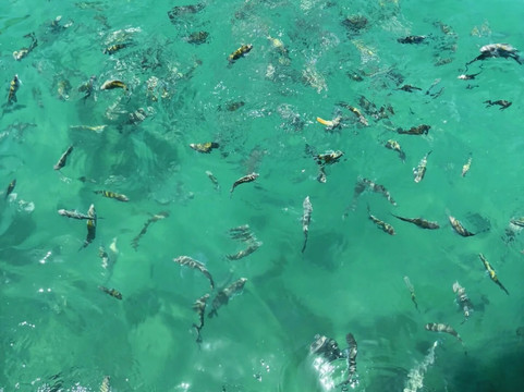 Paraty Experience-帕拉地必去景点