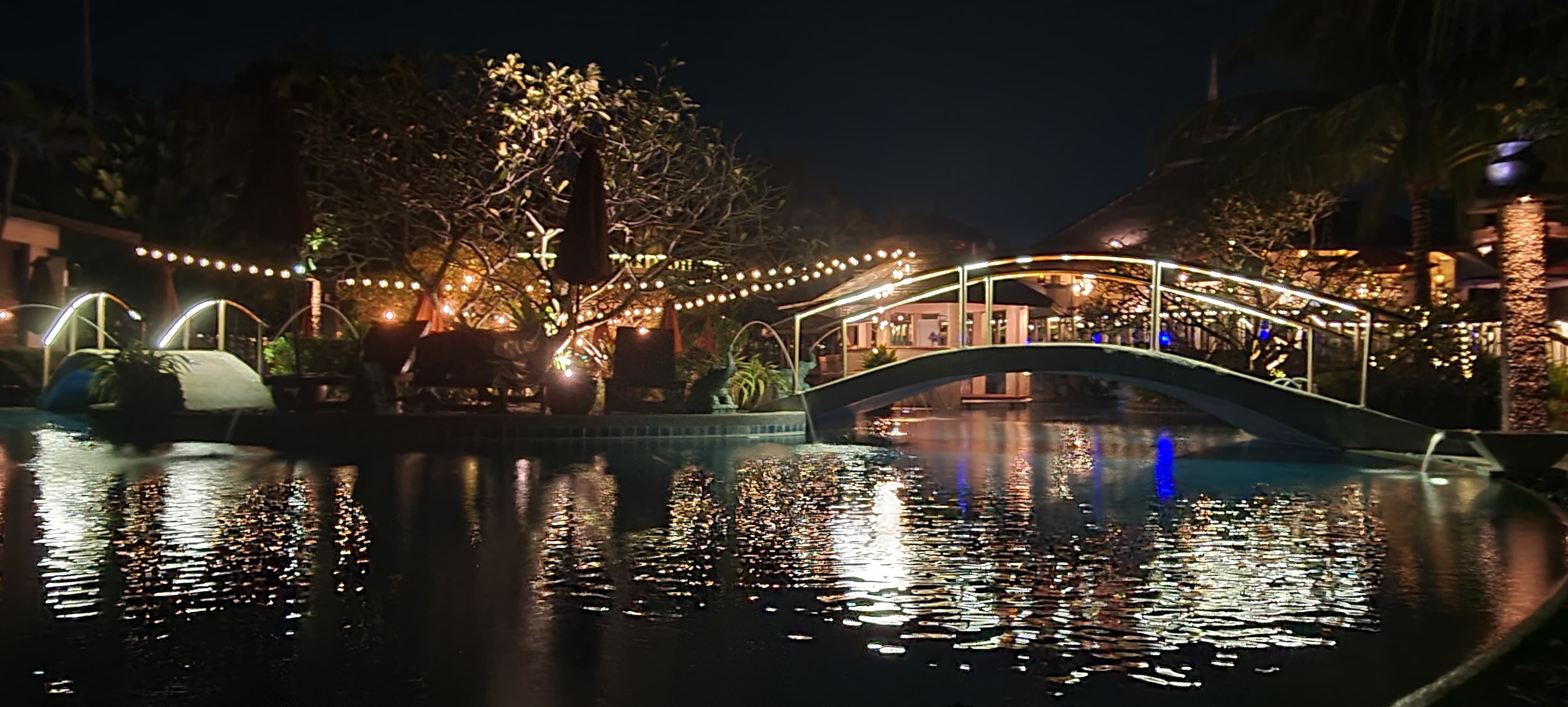 金色郁金香山竹温泉度假村-官方