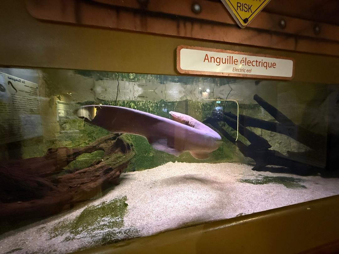 Aquarium du Limousin-利摩日必去景点