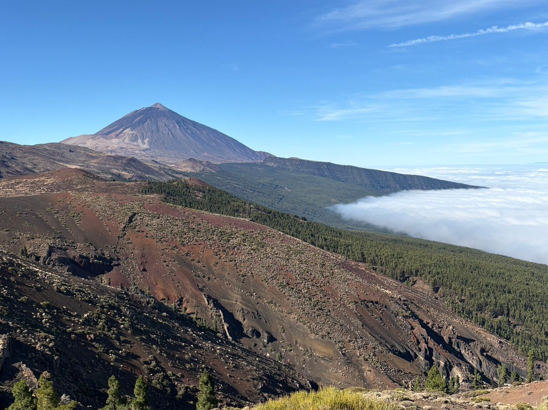 Eco-Tours Tenerife-洛斯克里斯蒂亚诺斯必去景点