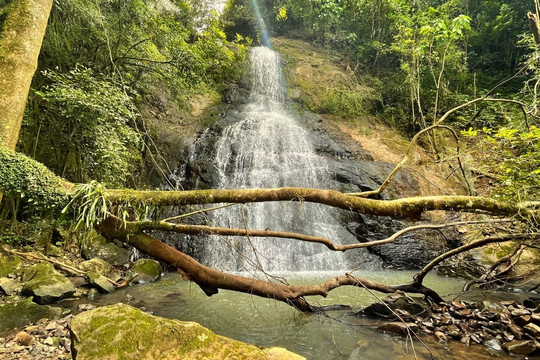 Fazenda Wolff-Rolante必去景点