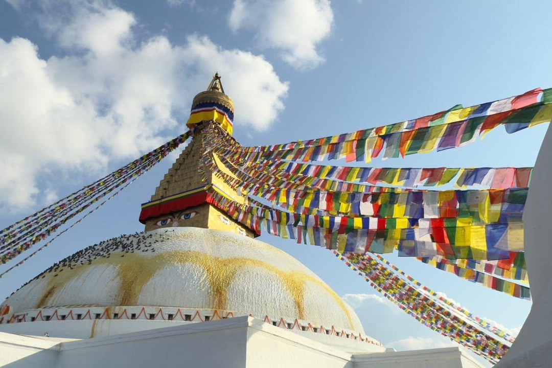 Hayley Webb Mountain Adventures-Hesket Newmarket必去景点