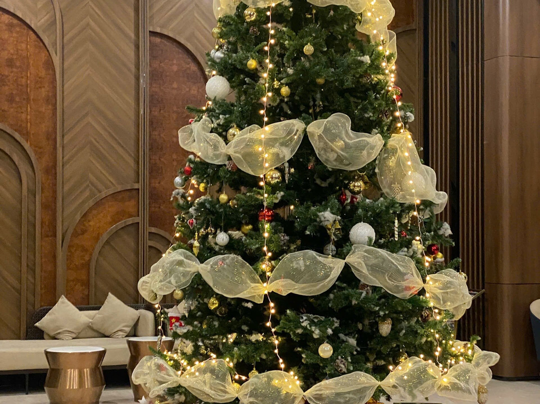 Mường Thanh Luxury Hạ Long Centre Hotel主图