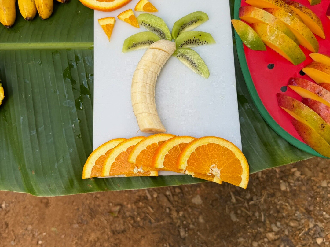 Jungle ATV Quad Tours-乌维塔必去景点