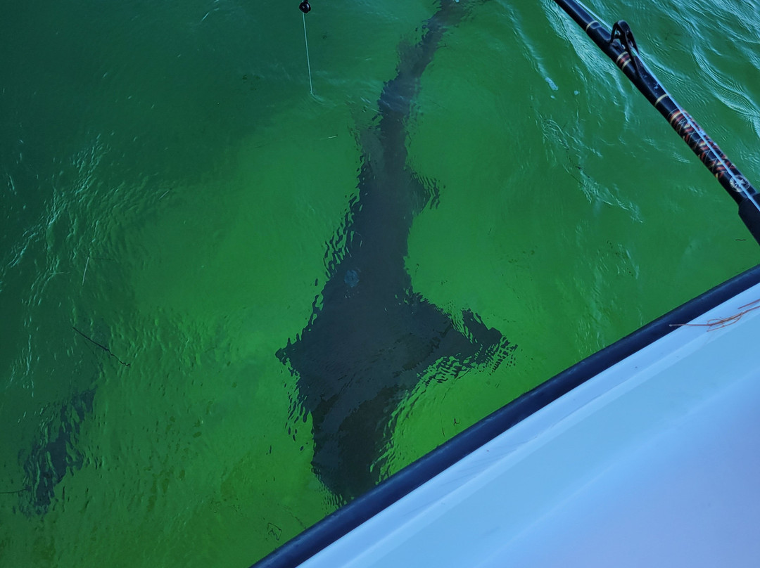 Best Bet Sportfishing-Key Colony Beach必去景点