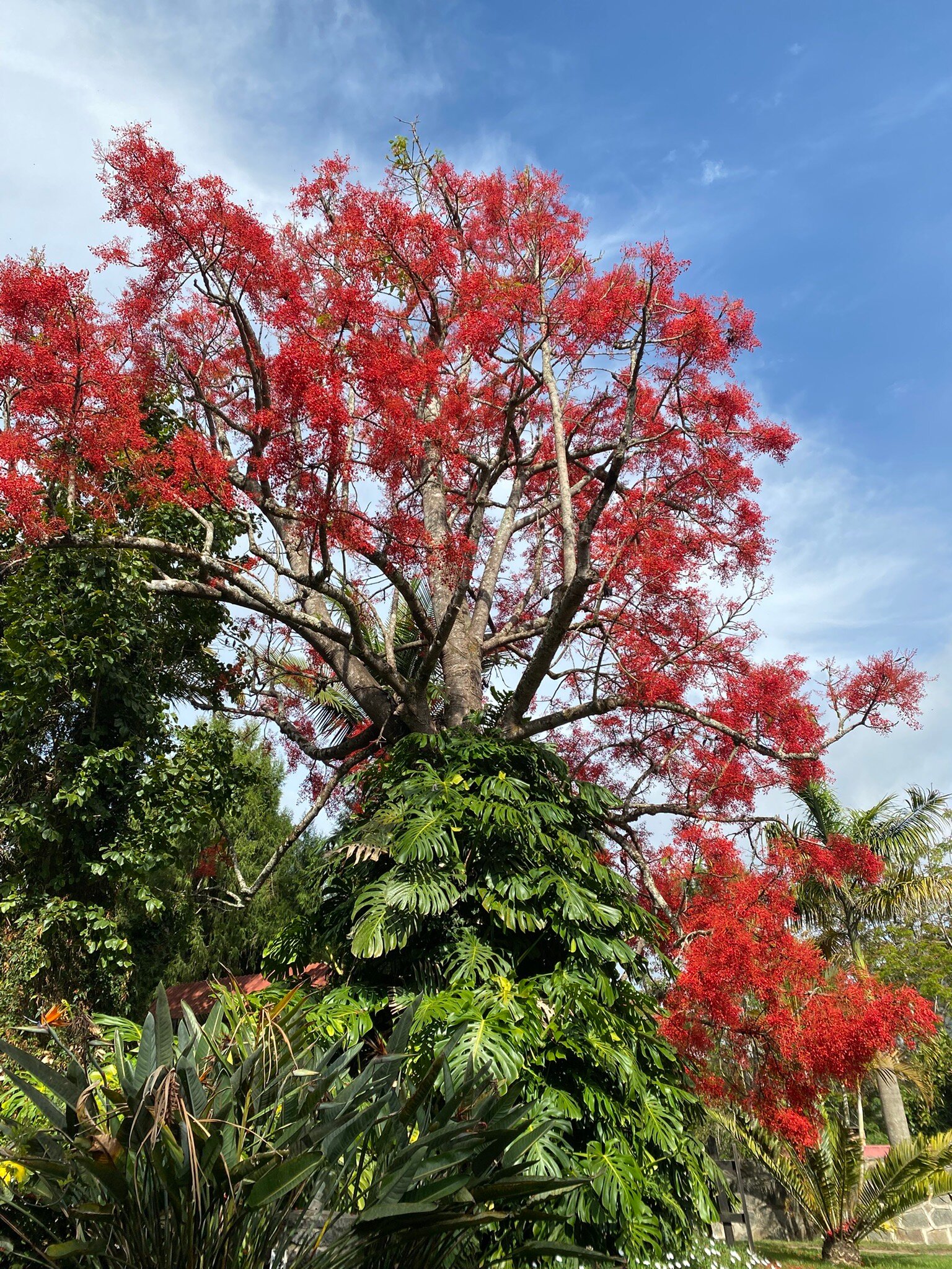 Mullers Mountain Lodge-官方