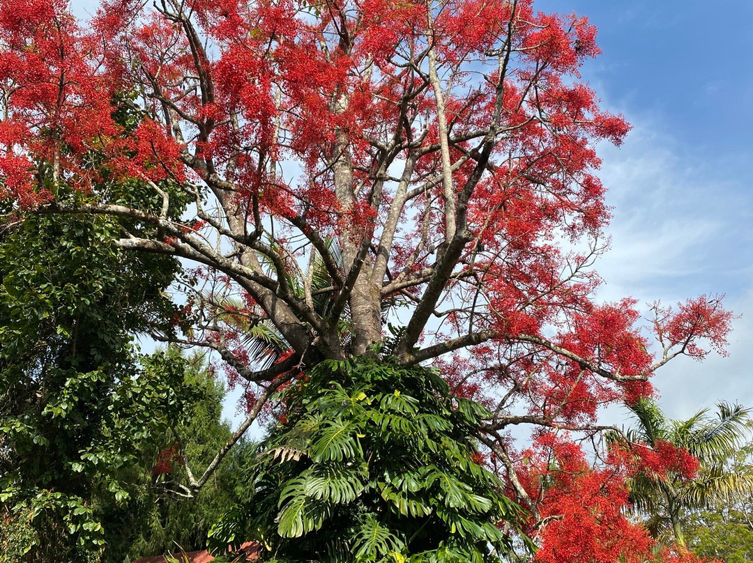 Mullers Mountain Lodge主图