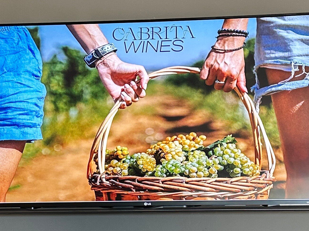 Cabrita Wines-Silves必去景点