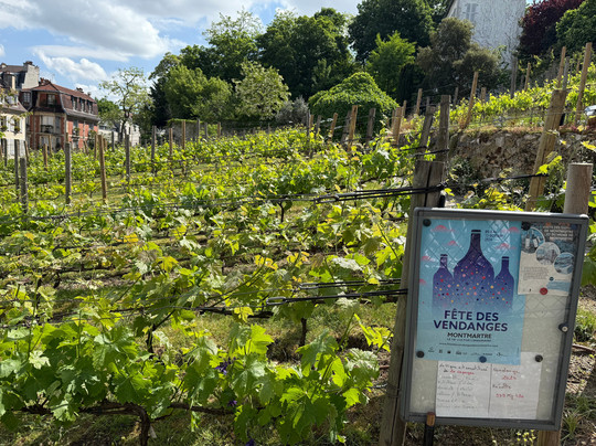 蒙马特葡萄园-巴黎必去景点