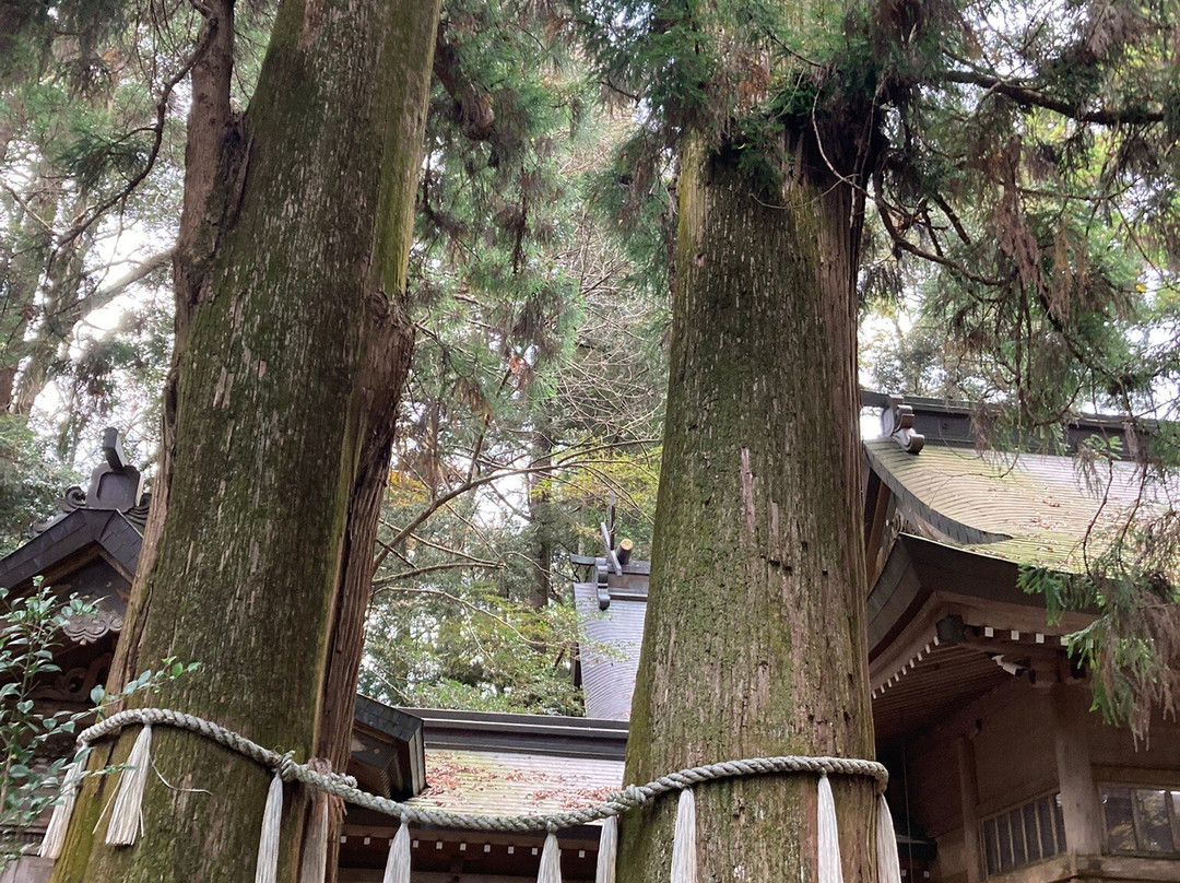 Takachiho Shrine-高千穗町必去景点