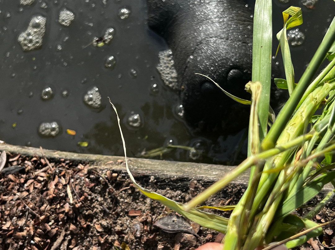 Guyana National Park-乔治城必去景点