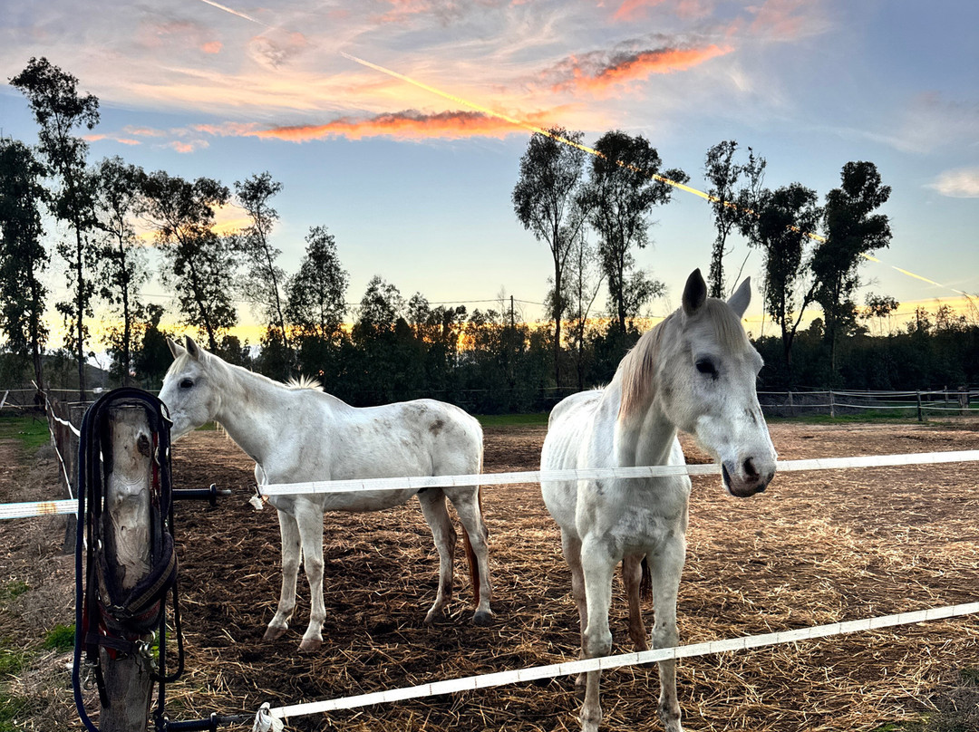 Centro Escursioni Iba Sa Cresia-Muravera必去景点