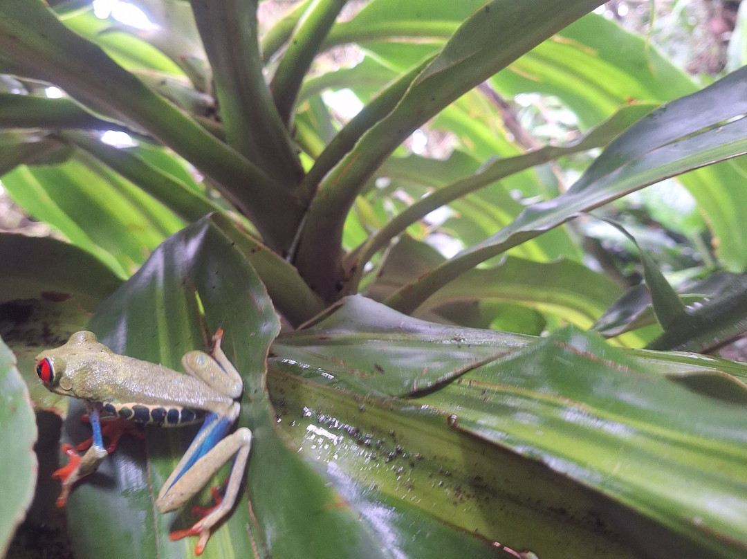 Sweet Costa Rica-塔马林多必去景点