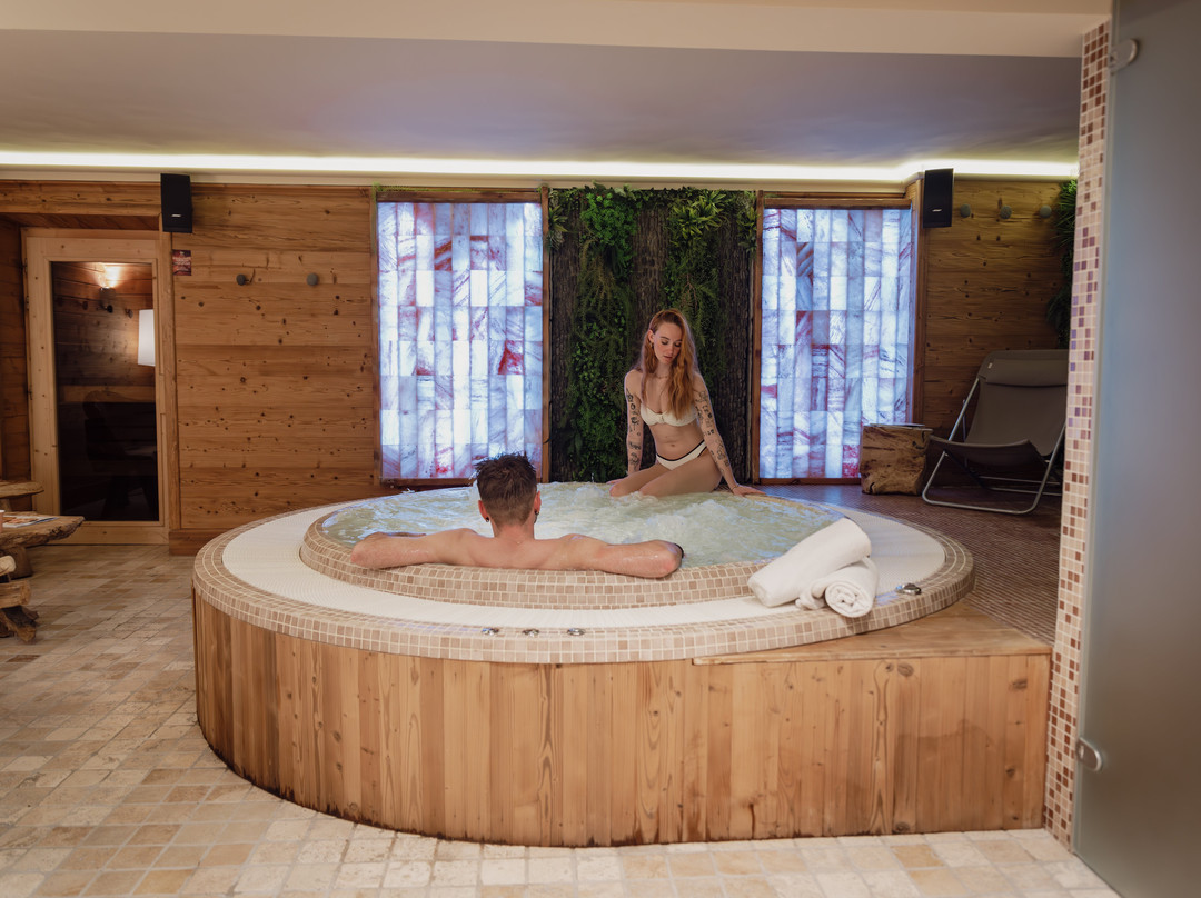 Hotel Alpen Ruitor主图