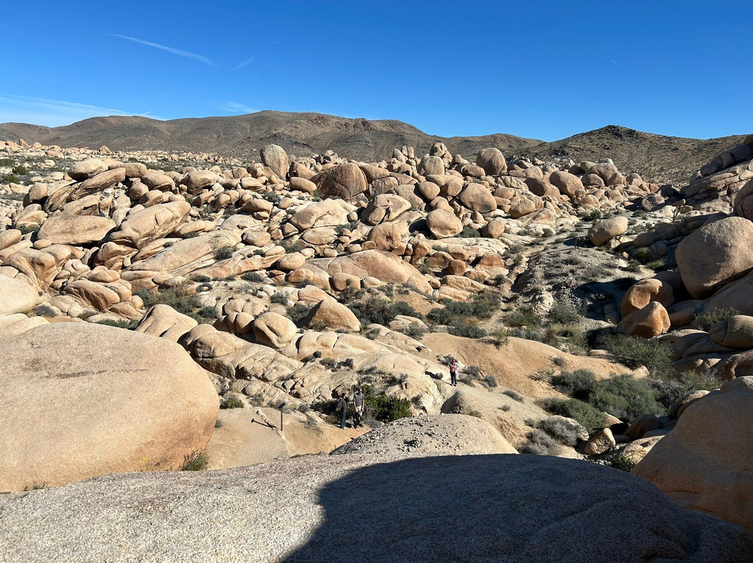 Arch Rock Nature Trail-约书亚树国家公园必去景点