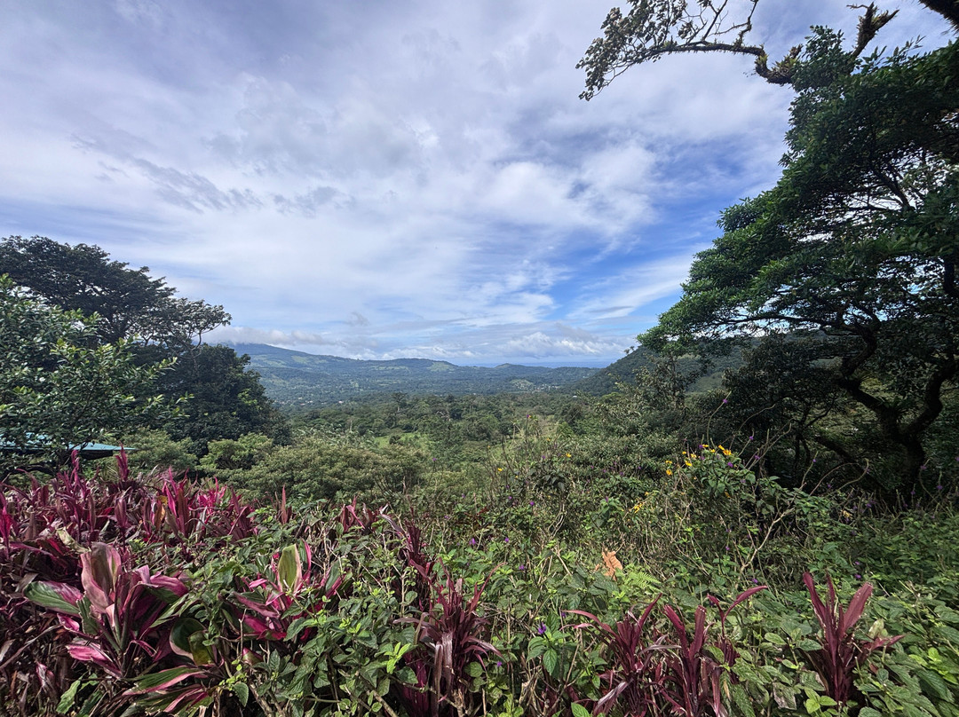 Fayla Tours Costa Rica-萨迪纳尔必去景点